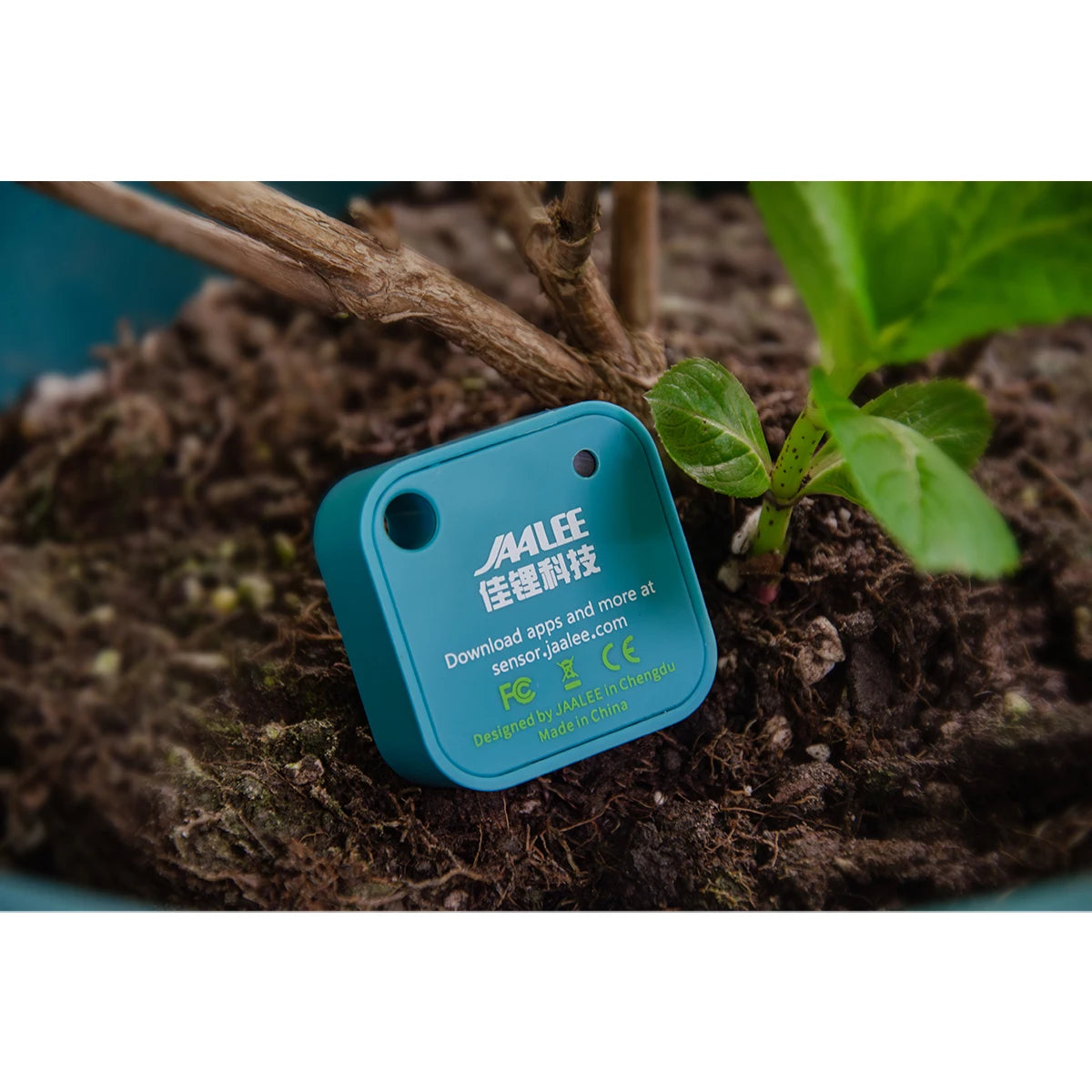 Jaalee JHT Smart Temp & Humidity Sensor – Dewpoint & VPD Logger