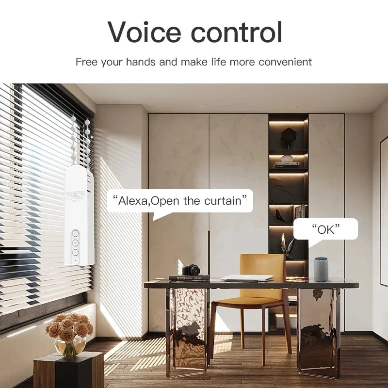 Tuya WiFi Smart Blind Motor Electric Roller Curtain Driver