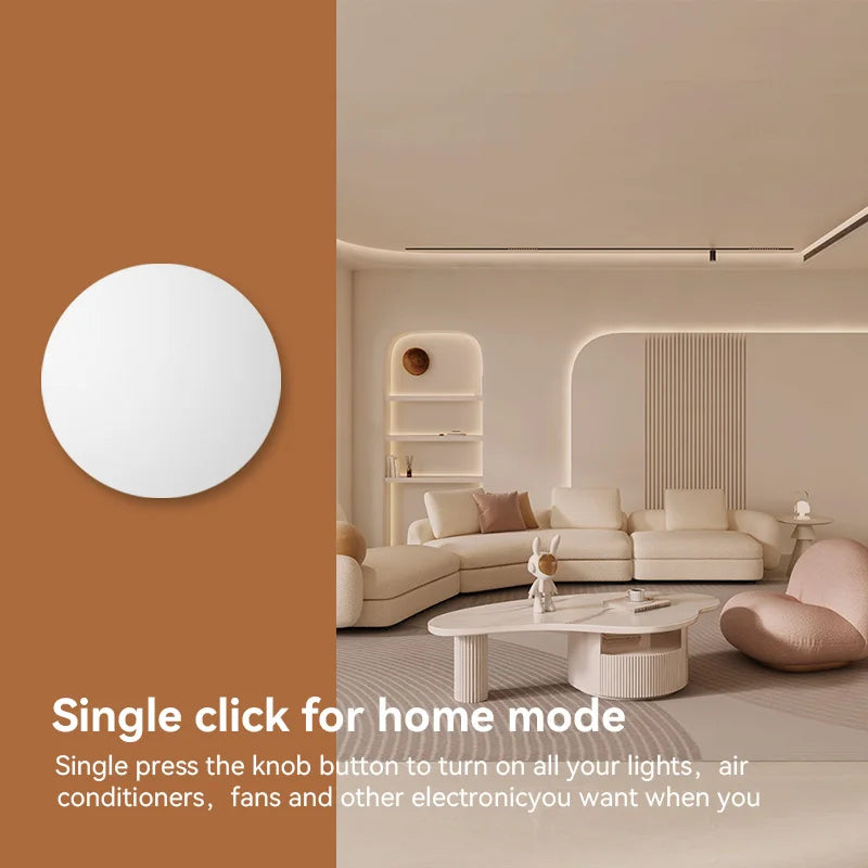 Tuya ZigBee Smart Wireless Button Switch